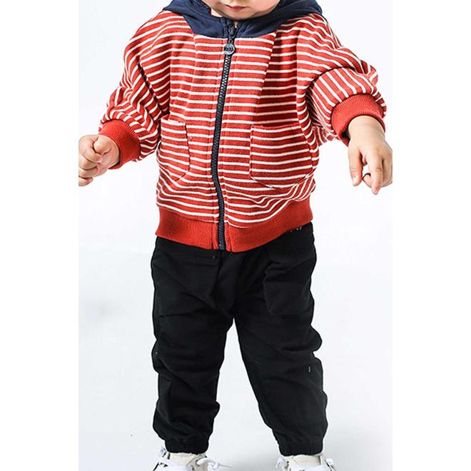 Toddler Boys Striped Full Zipper Casual Hoodie - TBJC32772